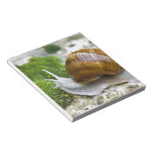 Schnecke aus Burgund Notizblock (angewinkelt)