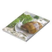 Schnecke aus Burgund Notizblock (Rotiert)