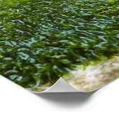 Schnecke aus Burgund Poster (Ecke)