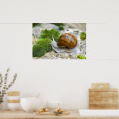 Schnecke aus Burgund Poster (Küche)