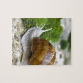 Schnecke aus Burgund Puzzle (Horizontal)