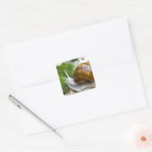 Schnecke aus Burgund Quadratischer Aufkleber (Umschlag)