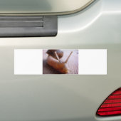 Schnecke Autoaufkleber (Auf Auto)