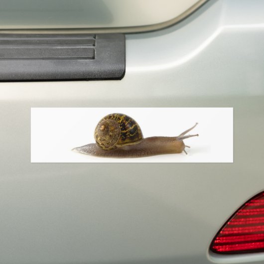 Schnecke Autoaufkleber (Auf Auto)