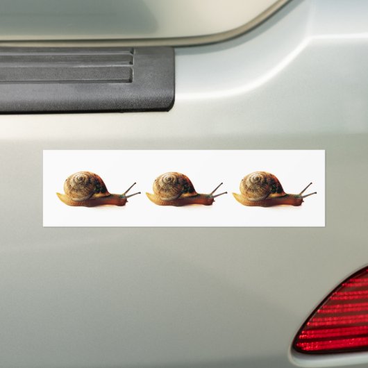 Schnecke Autoaufkleber (Auf Auto)