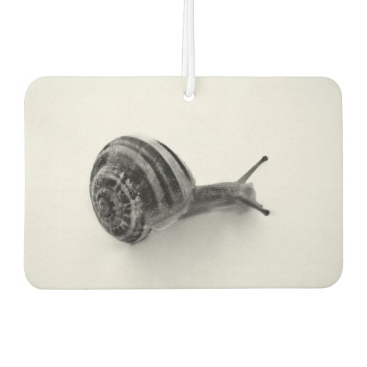 Schnecke Autolufterfrischer (Vorderseite)