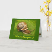 Schnecke Belated Geburtstag Karte (Gelbe Blume)