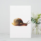 Schnecke Briefpapier (Stehend Vorderseite)