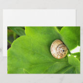 Schnecke Briefpapier (Vorne/Hinten)