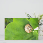 Schnecke Briefpapier (Stehend Vorderseite)