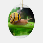 Schnecke Browns lippige Cepaea Nemoralis Keramik Ornament (Rechts)