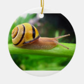 Schnecke Browns lippige Cepaea Nemoralis Keramik Ornament (Vorne)