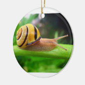 Schnecke Browns lippige Cepaea Nemoralis Keramik Ornament (Links)