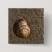 Schnecke Button (Vorderseite)