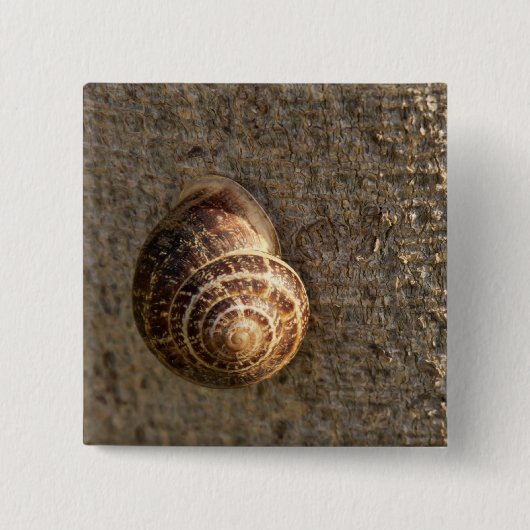 Schnecke Button (Vorderseite)