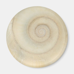 Schnecke - Conchologie - Weiße Spirale Magnet