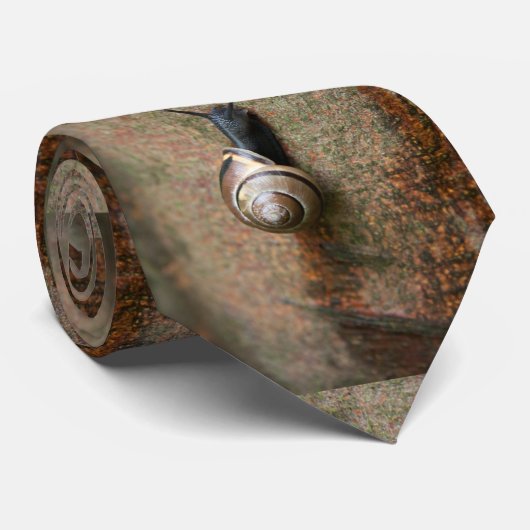 Schnecke deckte Krawatte mit Ziegeln (Gerollt)
