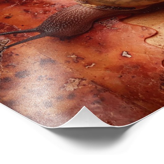 Schnecke Fotodruck (Ecke)