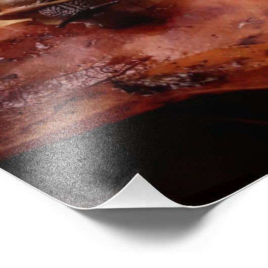 Schnecke Fotodruck (Ecke)