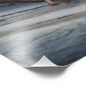Schnecke Fotodruck (Ecke)