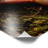 Schnecke Fotodruck (Ecke)