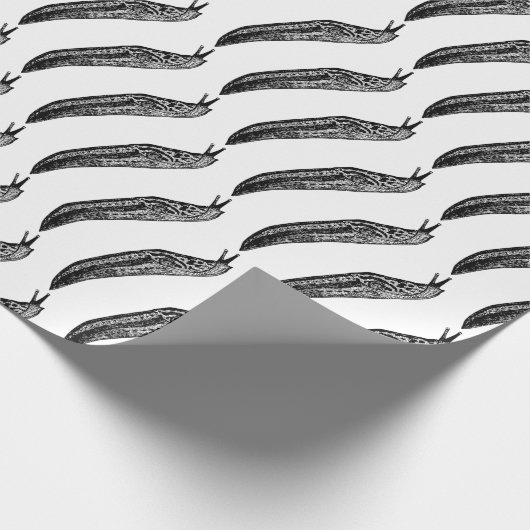 Schnecke Geschenkpapier (Ecke)