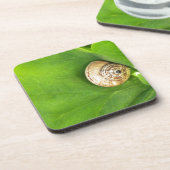 Schnecke Getränkeuntersetzer (Linke Seite)