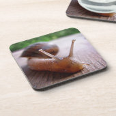 Schnecke Getränkeuntersetzer (Linke Seite)