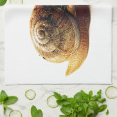 Schnecke Handtuch (Gefaltet)