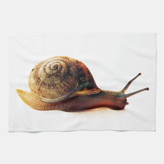 Schnecke Handtuch (Horizontal)