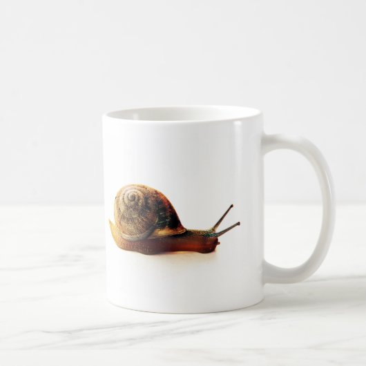Schnecke Kaffeetasse (Rechts)