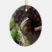 Schnecke Keramik Ornament (Rechts)