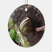 Schnecke Keramik Ornament (Links)