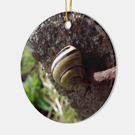 Schnecke Keramik Ornament (Links)