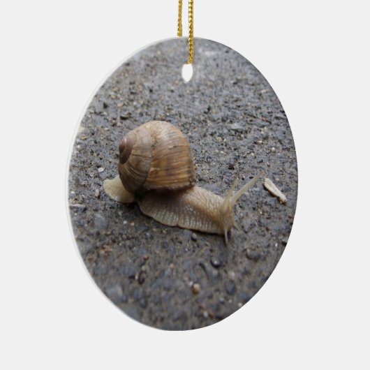 Schnecke Keramikornament (Rechts)