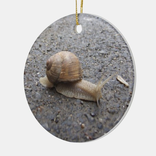 Schnecke Keramikornament (Links)