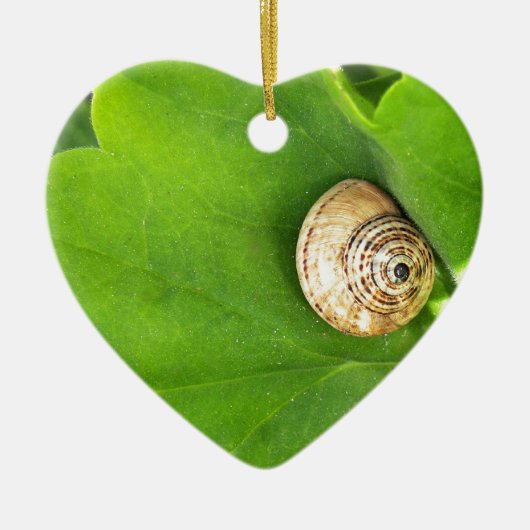 Schnecke Keramikornament (Vorne)