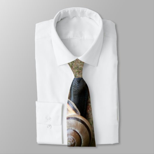 Schnecke Krawatte (Gebunden)