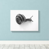 Schnecke Leinwanddruck (Insitu (Holzboden))