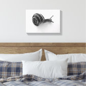 Schnecke Leinwanddruck (Insitu (Schlafzimmer))