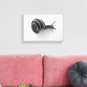 Schnecke Leinwanddruck (Insitu (Wohnzimmer))