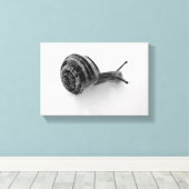 Schnecke Leinwanddruck (Insitu (Holzboden))