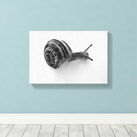 Schnecke Leinwanddruck (Insitu (Holzboden))