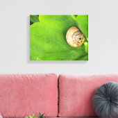Schnecke Leinwanddruck (Insitu (Wohnzimmer))