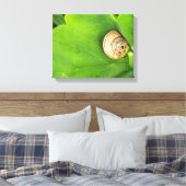Schnecke Leinwanddruck (Insitu (Schlafzimmer))