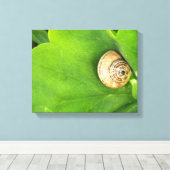 Schnecke Leinwanddruck (Insitu (Holzboden))