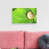 Schnecke Leinwanddruck (Insitu (Wohnzimmer))