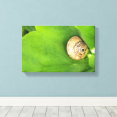 Schnecke Leinwanddruck (Insitu (Holzboden))