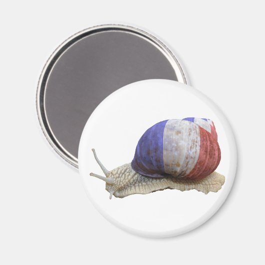 Schnecke Magnet (Vorderseite/Rückseite)