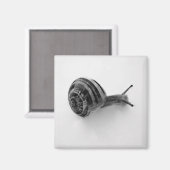 Schnecke Magnet (Vorderseite/Rückseite)